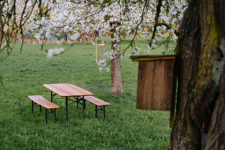 Bierzeltgarnitur aus Eiche – Bild 8